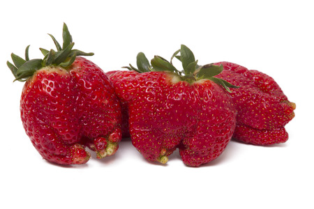 Close up view of fresh strawberry isolated on a white background.の写真素材