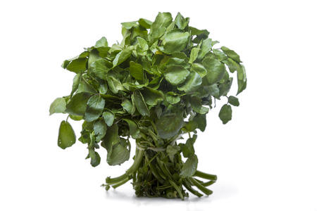 Close up view of a bunch of fresh watercress isolated on a white background.の写真素材