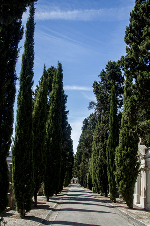 Close up view of a section from the famous portuguese cemetery Prazeres in Lisbon, Portugal.