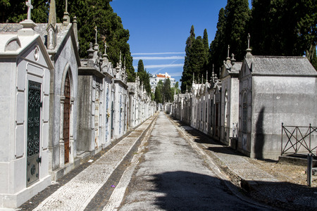 Close up view of a section from the famous portuguese cemetery Prazeres in Lisbon, Portugal.のeditorial素材