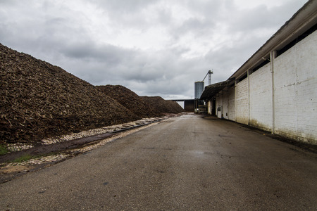 Outdoor view of a cork transformation factory.のeditorial素材