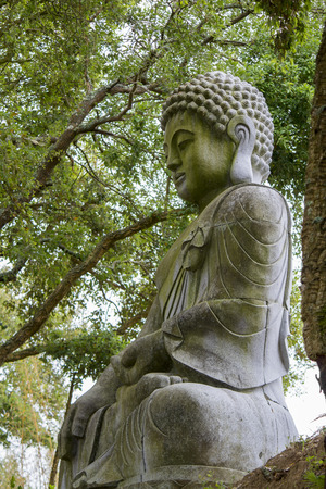 Close up view of a beautiful Buddha statue on a park.の写真素材