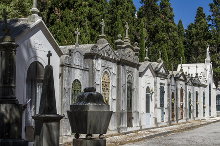 Close up view of a section from the famous portuguese cemetery Prazeres in Lisbon, Portugal.のeditorial素材