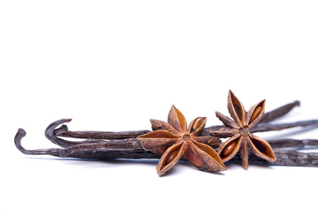 Close view of vanilla pods and anise stars.の写真素材