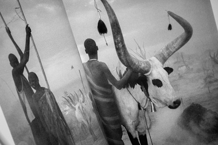 LISBON - PORTUGAL, MAY 2015: "Genesis" photography exhibition of Sebastiao Salgado located in Cordoaria Nacional - Lisbon, Portugalのeditorial素材