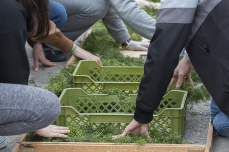 SAO BRAS DE ALPORTEL, PORTUGAL - April, 2015: Traditional religious procession of the flower torches event located in village of Sao Bras de Alportel, Portugal.の写真素材