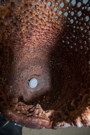 OLHAO, PORTUGAL - December 18th, 2015: Exhibition of sculpture Nuno Mestre that creates house lamps from the Giant Cabuya plant.のeditorial素材
