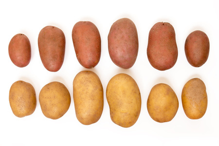 Close up view of potatoes isolated on a white background.の写真素材
