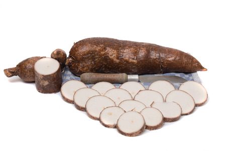 Close up view of a cassava root isolated on a white background.の写真素材