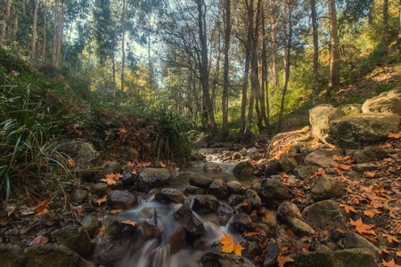 Beautiful river mountain region in autumn season located on Monchique, Portugal.
