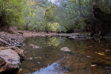 Beautiful river stream in benemola region near Loule, Portugal.の写真素材
