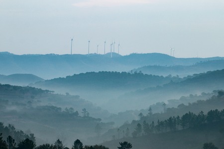 Beautiful view of the morning fog filling the valleys of smooth hills.の写真素材