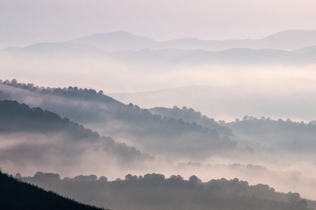 Beautiful view of the morning fog filling the valleys of smooth hills.の写真素材