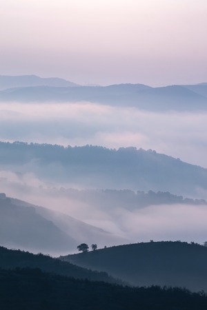 Beautiful view of the morning fog filling the valleys of smooth hills.の写真素材