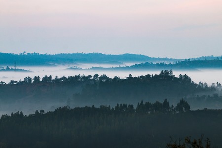 Beautiful view of the morning fog filling the valleys of smooth hills.の写真素材