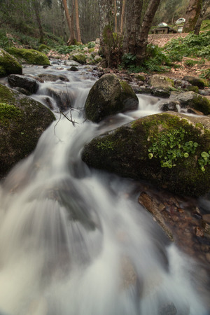 View of a beautiful and healthy forest river in the Monchique region.の写真素材