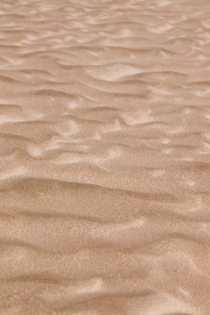 View of a wavy soft sand on a sunny beach.