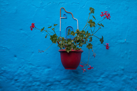 Typical Chefchaouen flower vases hanging on the blue walls.の写真素材