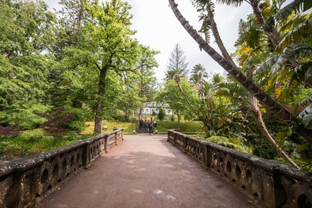 View of the luxurious nature park of Terra Nostra, located in Sao Miguel island, Azores, Portugal.のeditorial素材
