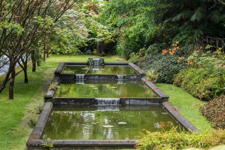 View of the luxurious nature park of Terra Nostra, located in Sao Miguel island, Azores, Portugal.のeditorial素材