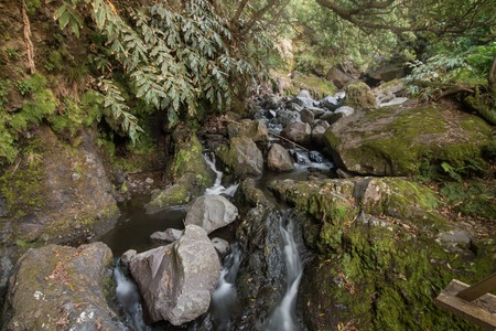 View of a natural and fresh  stream of water from the mountains.