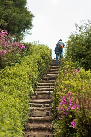 Lagoa do Canario pathway in Sao Miguel island, Azores.の写真素材