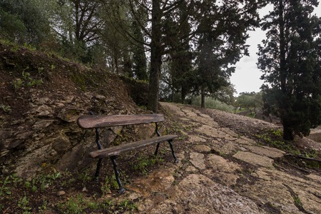 View of a beautiful view of a path on a nature park.