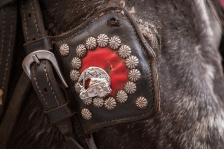 Close up view of a donkey eye patch.の写真素材