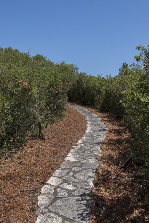 Outdoor view of a stone path through a park.の写真素材