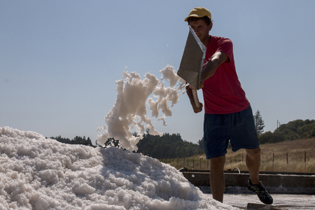 RIO MAIOR, PORTUGAL - July 20th, 2016 : Workers gathering marine salt from the famous saline exploration in Rio Maior.のeditorial素材