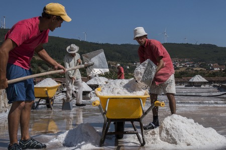 RIO MAIOR, PORTUGAL - July 20th, 2016 : Workers gathering marine salt from the famous saline exploration in Rio Maior.のeditorial素材