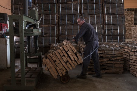 SAO BRAS DE ALPORTEL, PORTUGAL: 21st OCT, 2016 - Work arranges a cork pile of planks to the cork bale machinery press.のeditorial素材