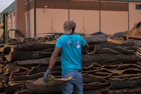 SAO BRAS DE ALPORTEL, PORTUGAL: 21st OCT, 2016 - Worker separates raw cork planks on a cork factory.のeditorial素材