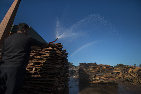 SAO BRAS DE ALPORTEL, PORTUGAL: 14th NOV 2016: View of a worker using water hose  to create rainbow in the sky at a cork factory.のeditorial素材