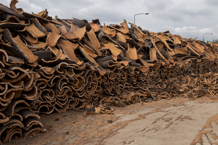 View of a bunch of raw cork planks stacked.のeditorial素材
