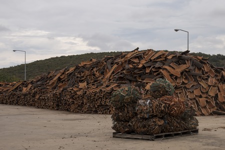 View of a bunch of raw cork planks stacked on a cork factory.の写真素材