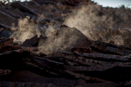 View of a bunch of boiled cork planks stacked on a cork factory.