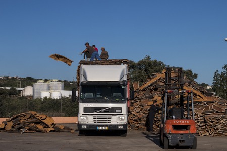 SAO BRAS DE ALPORTEL, PORTUGAL: 15th NOV, 2106 - Workers select from a bunch of raw cork planks stacked on a heavy duty truck.のeditorial素材