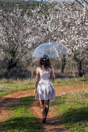 View of a beautiful woman with a transparent umbrella walking on the road.の写真素材