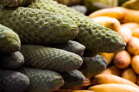 Pile of exotic Monstera Deliciosa fruit at sale on the market.の写真素材