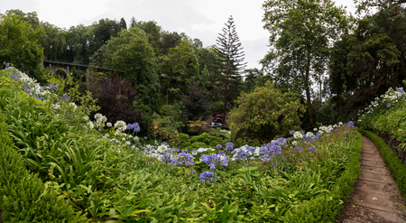 Tropical garden Monte Palace, located in Funchal city, Madeira island, Portugal.のeditorial素材