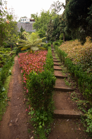Tropical garden Monte Palace, located in Funchal city, Madeira island, Portugal.のeditorial素材