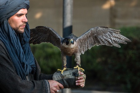 SILVES, PORTUGAL - August 13th, 2017 : Medieval costume characters in Medieval fair event.のeditorial素材