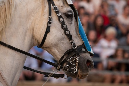 SILVES, PORTUGAL - August 13th, 2017 : Medieval warrior with horse in Medieval fair event.のeditorial素材