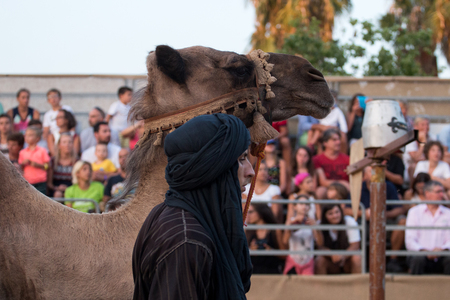 SILVES, PORTUGAL - August 13th, 2017 : Medieval show with camels in Medieval fair event.のeditorial素材