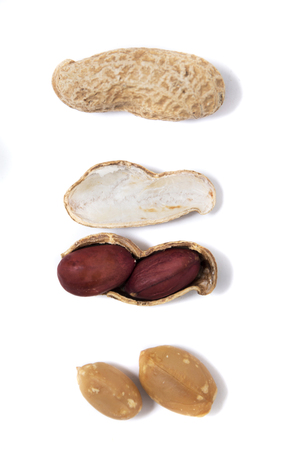 peanuts spreaded on a white background on a aligned composition.