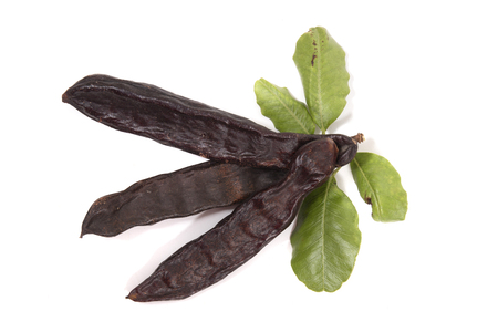 carob fruits with leafs isolated over a white background.の写真素材