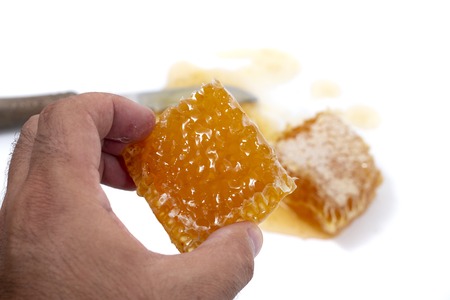 hand holding a piece of fresh slice of sweet honeycomb filled with honey.の写真素材