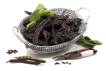 carob fruits with leafs isolated over a white background.の写真素材