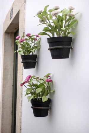 Close up view of beautiful decorative flower vases on the street.の写真素材